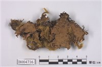 藏品(地卷屬)的圖片